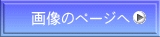 摜̃y[W